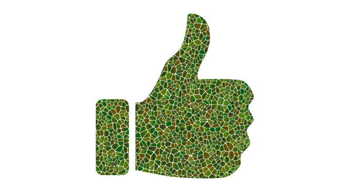Thump Up Groen